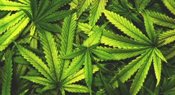 Regulatory Risk Recedes