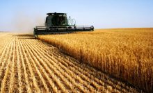 [tractor mowing wheat]