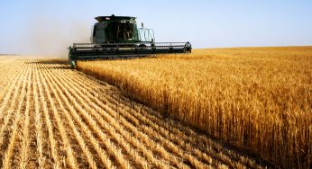 Five Agricultural Investments to Purchase Amid Russia’s Raging War